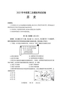 2025年河南省濮阳市二模历史试题（中考模拟）