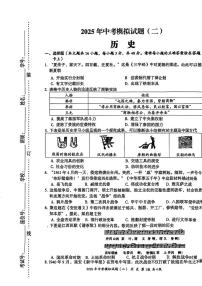 2025年湖南省娄底市新化县中考二模历史试卷（中考模拟）