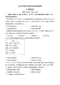 2025年湖南省娄底市涟源市中考三模历史试题（中考模拟）