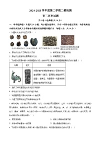2025年山东省济宁市任城区中考二模历史试题（中考模拟）