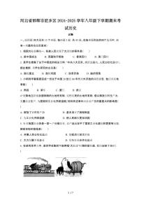 2024_2025学年河北邯郸肥乡区八年级第二学期期末考试历史试卷[有答案]