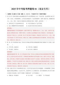 2025中考历史专题复习试卷临考押题卷01(解析版)