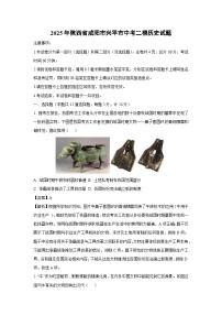 2025年陕西省咸阳市兴平市中考二模历史试卷（解析版）