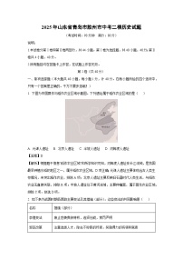2025年山东省青岛市胶州市中考二模历史试卷（解析版）