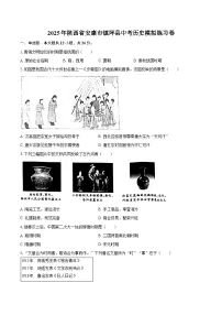 2025年陕西省安康市镇坪县中考历史模拟练习卷（含答案）