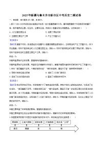 2025年新疆乌鲁木齐市新市区中考历史二模试卷（解析版）