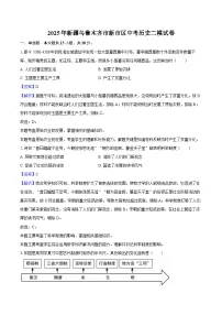 2025年新疆乌鲁木齐市新市区中考历史二模试卷（解析版）