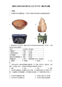 黑龙江省哈尔滨市道外区2025年中考二模历史试题（解析版）