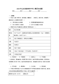 2025年山东省泰安市中考三模历史试题（附答案解析）