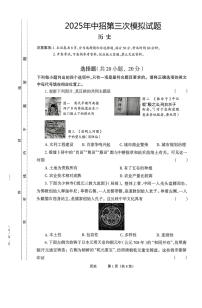 2025年河南省驻马店市部分学校中考三模历史试题（中考模拟）