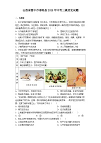山西省晋中市寿阳县2025年中考三模历史试题（含答案）