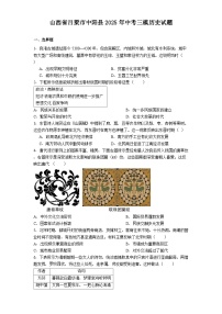 山西省吕梁市中阳县2025年中考三模历史试题（解析版）