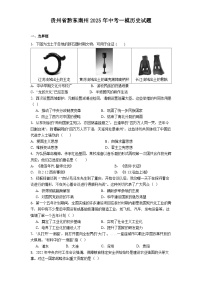 贵州省黔东南州2025年中考一模历史试题（解析版）