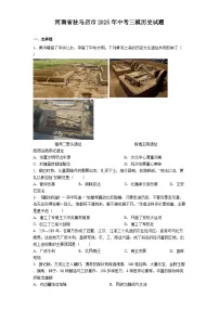 河南省驻马店市2025年中考三模历史试题（解析版）
