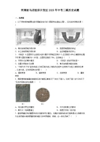 河南驻马店经济开发区2025年中考三模历史试题（解析版）