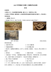 2025年河南省驻马店市中考三模历史试题（中考模拟）