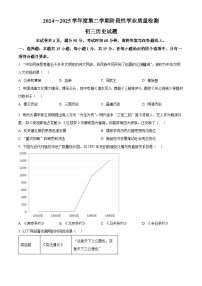 2025年山东省淄博市高新区中考二模历史试题（中考模拟）