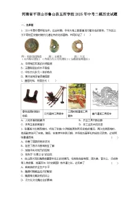 河南省平顶山市鲁山县五所学校2025年中考二模历史试题（解析版）