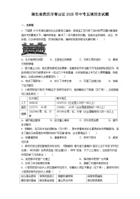 湖北省武汉市青山区2025年中考五调历史试题（解析版）