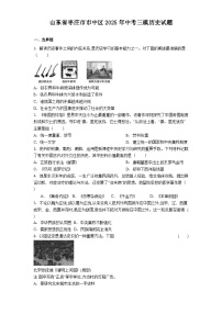 山东省枣庄市市中区2025年中考三模历史试题（解析版）