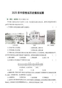 2025年河南省漯河市临颍县三家店镇二中、实验中学中考三模历史试题（中考模拟）
