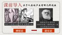 初中历史人教版（2024）七年级上册（2024）远古时期的人类活动授课ppt课件
