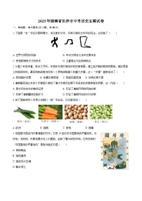 2025年湖南省长沙市中考历史五模试卷（含答案）