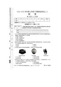 河南省驻马店市泌阳县二校联考2024-2025学年七年级下学期6月月考历史试题