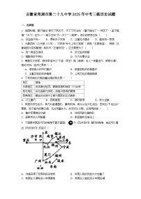 安徽省芜湖市第二十九中学2025年中考三模历史试题（解析版）