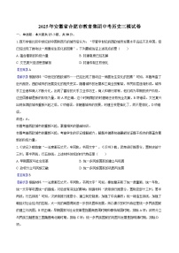 2025年安徽省合肥市教育集团中考历史三模试卷（解析版）