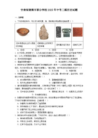 甘肃省陇南市部分学校2025年中考三模历史试题（解析版）