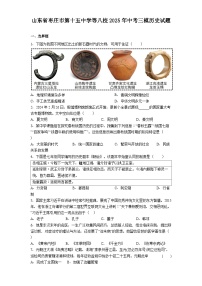 山东省枣庄市第十五中学等八校2025年中考三模历史试题（解析版）