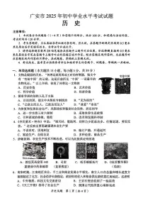 2025年四川省广安市中考历史试题含答案
