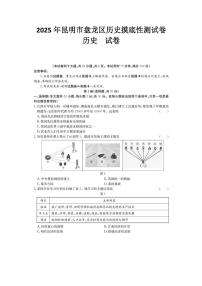 2025年云南省昆明市盘龙区中考三模历史试题（中考模拟）