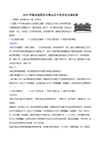 2025年湖北省武汉市青山区中考历史五调试卷（解析版）