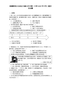 新疆维吾尔自治区乌鲁木齐市第一中学2025年中考三模历史试题（解析版）
