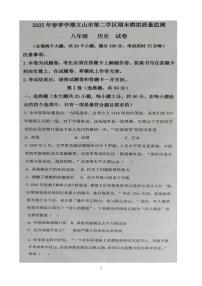 云南省文山壮族苗族自治州文山市第二学区2024~2025学年八年级下学期期末模拟 历史试题