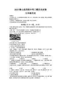 2025年河南省平顶山市鲁山县四校联考中考三模历史试题（中考模拟）