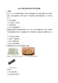 2025年四川省泸州市中考历史试卷及答案