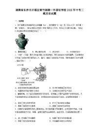 湖南省长沙市开福区青竹湖湘一外国语学校2025年中考三模历史试题（解析版）