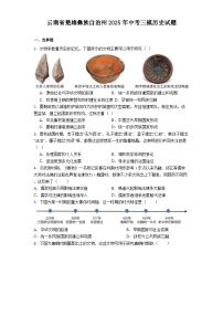 云南省楚雄彝族自治州2025年中考三模历史试题（解析版）
