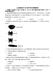 山东省烟台市2025年中考历史真题试卷及答案