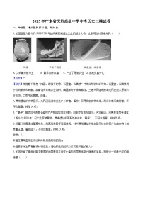 2025年广东省深圳高级中学中考历史三模试卷（解析版）