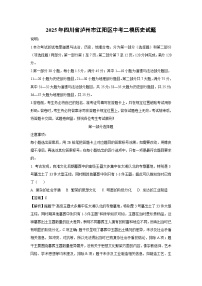 2025年四川省泸州市江阳区中考二模历史试卷（解析版）