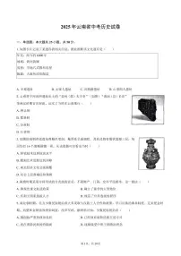 2025年云南省中考历史试卷（含解析）