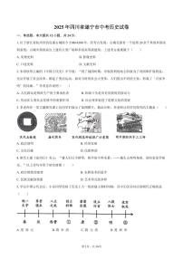 2025年四川省遂宁市中考历史试卷（含解析）