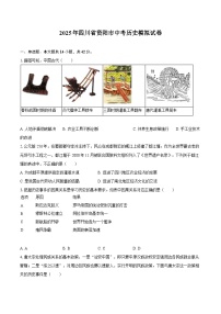 2025年四川省资阳市中考历史模拟试卷
