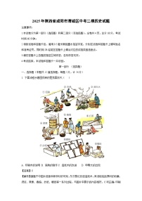 2025年陕西省咸阳市渭城区中考二模历史试卷（解析版）