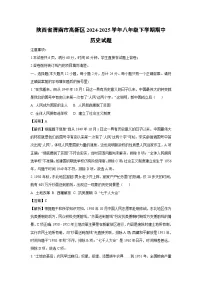 陕西省渭南市高新区2024-2025学年八年级下期中历史试卷（解析版）