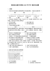 陕西省安康市汉阴县2025年中考二模历史试题（解析版）